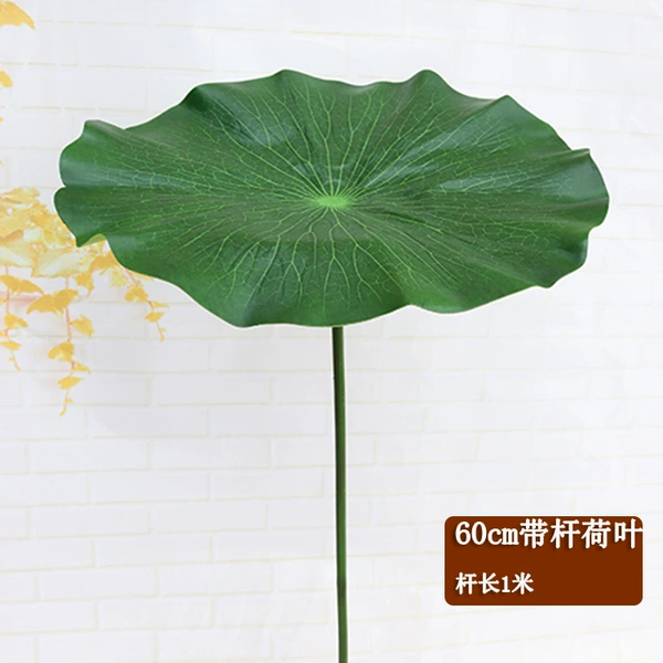 60cm lotus leaf