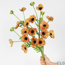 ��c���滨pu��֦5�^С���ڻ���������ĵ����Y�Ҿ�ܛ�b�羳�廨