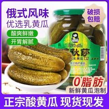 东北喀秋莎酸黄瓜俄罗斯风味俄式腌黄瓜汉堡乳黄瓜青瓜大瓶速食