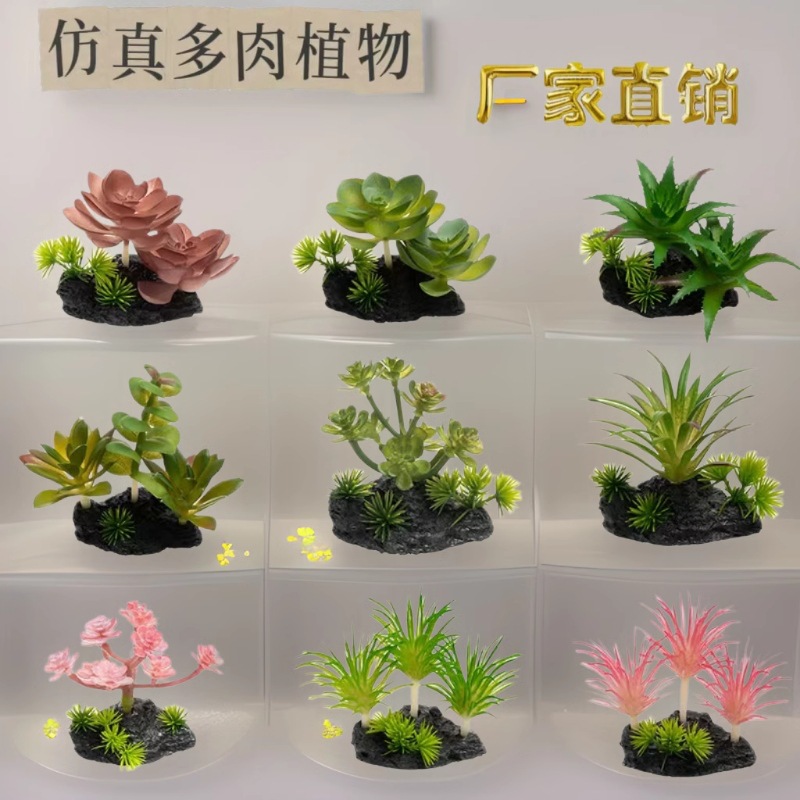 Simulación transfronteriza aire piña suculentas plantas trepadoras caja de mascotas paisajismo planta verde pecera fábrica de decoración paisajismo