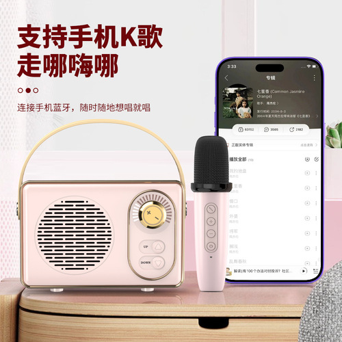  new Bluetooth speaker karaoke USB mini outdoor portable high quality karaoke speaker with FM mobile phone