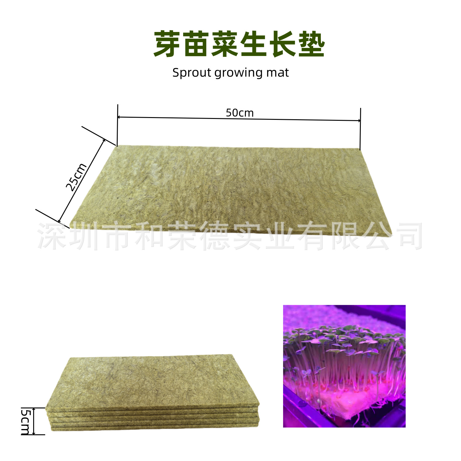 芽苗菜生长垫