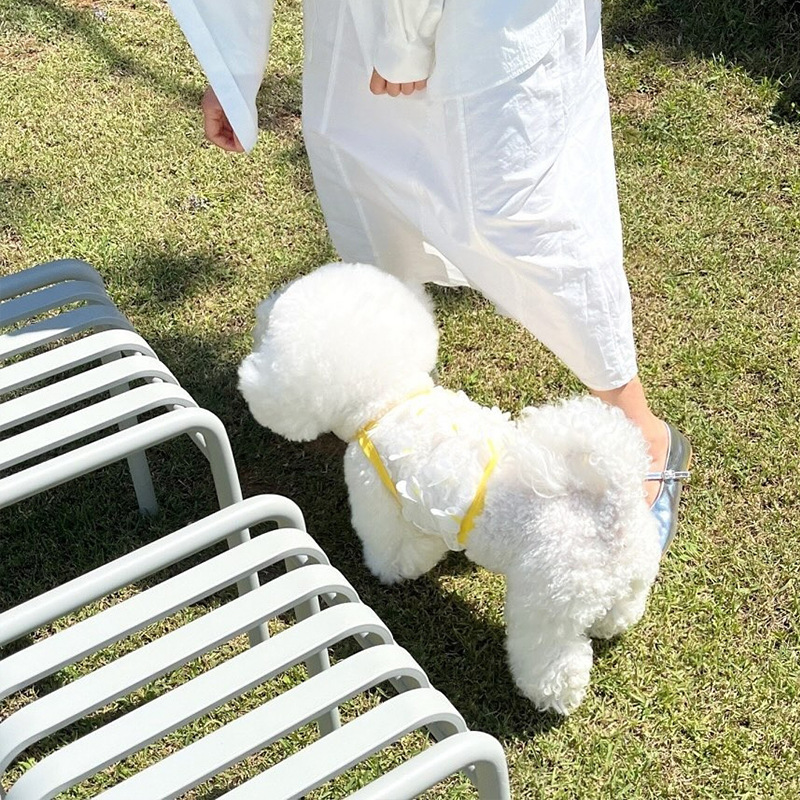 Primavera y verano perros delgados transpirables mariposa tridimensional malla transpirable sonrisa cara cabra pequeña ropa de mascotas perros gatos