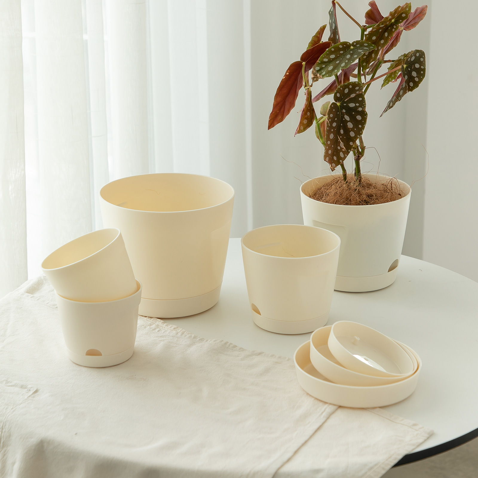 Maceta plástica auto-riego, color crema, estilo Wabi-Sabi, para suculentas, interior, transfronterizo