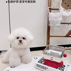 不锈钢高脚宠物碗食盆双层狗碗底部防滑护颈猫碗喂食宠物用品批发