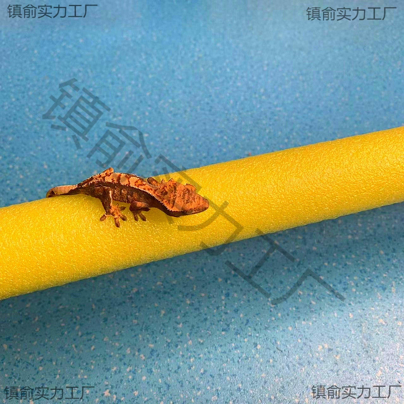 Угловая палка для скалолазания