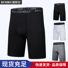 �@��o����ѝ�����ʽ���\���ܲ������ٸɴ���w������ߏ�Ӗ��