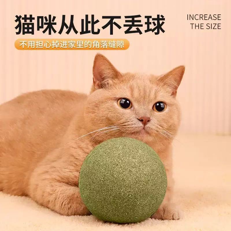 猫薄荷球超大10cm巨无霸超大号猫薄荷虫瘿果清新口气猫咪玩具批发|undefined
