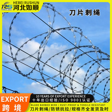 防爬刺防盗刺铁蒺藜刺铁丝铁丝网围栏网不生锈镀锌钢丝刺绳