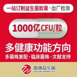 工厂定制益生菌粉儿童成人女性肠道益生菌冻干粉源头厂家直供