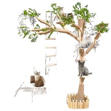 猫爬架实木磨不粘毛原木材料实木大型猫屋树一体屋猫树屋猫抓板