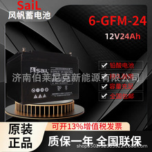L6-GFM-24yʽUSo늳12V24AH UPSԴEPSԴ