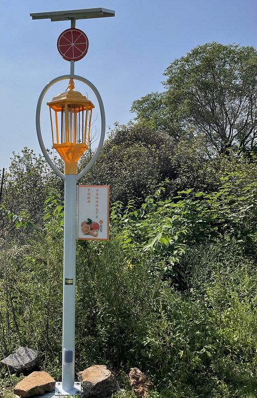 e3b05369-dbc1-454f-9489-f815b5