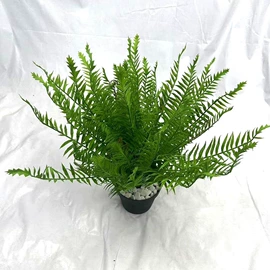 仿真绿植;仿真枝叶和树;仿真果蔬