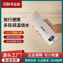烧水壶出差开水杯旅行烧水杯恒温迷你办公室宿舍保温可调温