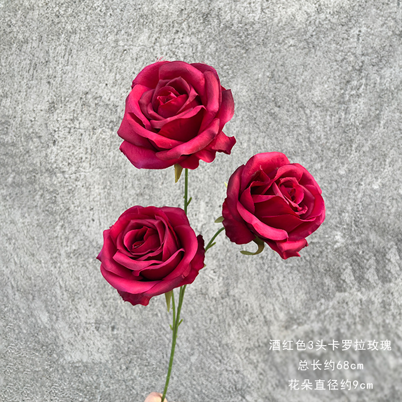 와인색 3송이 카롤라 장미