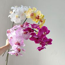 �S��ֱ�N���� ���滨 ��Ʒ�����m8�^ ��֧�m���廨�b��쾰��