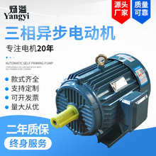 Y2-132S2-2�O7.5kwǧ�� �R�_ȫ�~��YE2/YE3���ஐ��늄әC