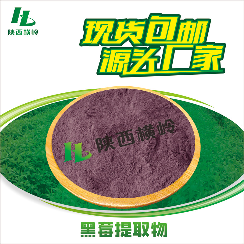 黑莓提取物 50:1高比例黑莓粉 黑莓花青素 黑莓果提取物 1KG起订