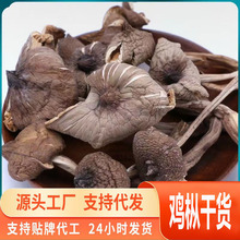 源头一件代发新货野生云南鸡枞干货火把新鲜鸡纵产蘑菇野生煲汤