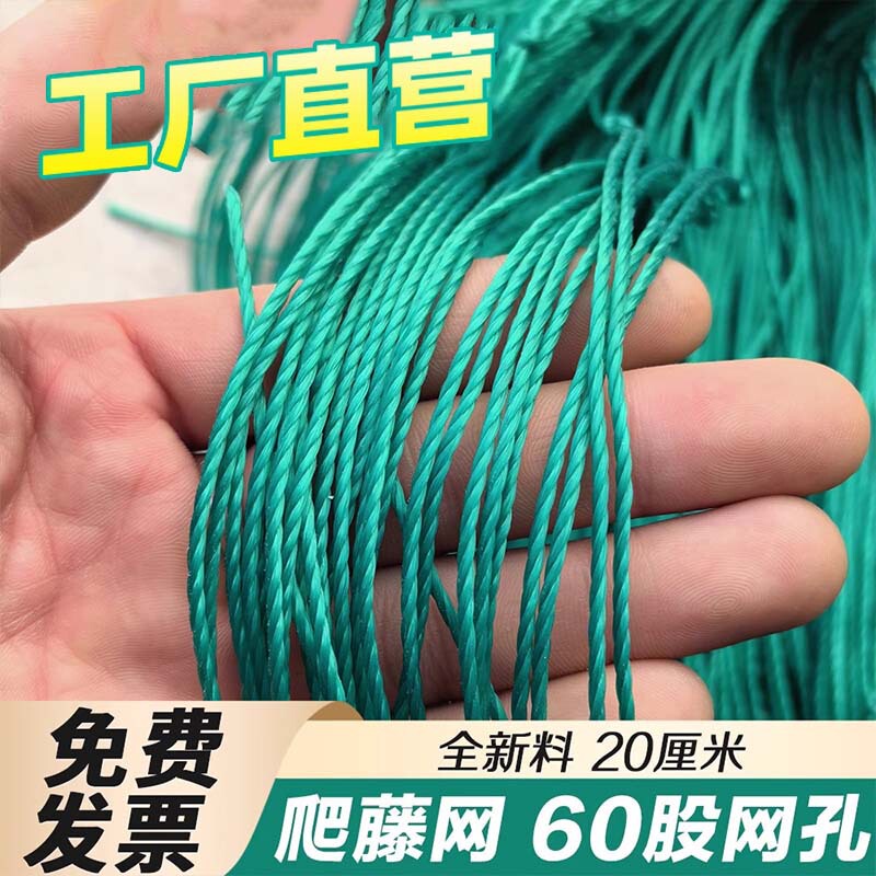 Climbing Net, Climbing Trellis, Rose Net, Fruit Net, Bitter Melon Gardening Net, Household Hanging Melon Net, Agricultural Netting for Vines and Flowers