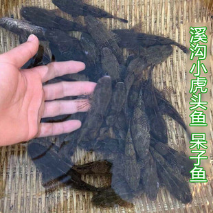 ʮ���Ϫ��С���~���k�~���^�~ɳ���k�~�S���~Сʯ���~�����~����