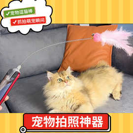 【人宠互动】羽毛铃铛互动逗猫棒批发宠物玩具猫咪用品狗玩具