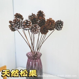 Pine cones dried flowers Christmas pine cone shooting props wholesale decoration natural ornaments spruce fruit bouquet flower material home complex