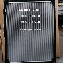 �S�����a�F؛�е�ɢ����1301010-T3001.T0300.TY200