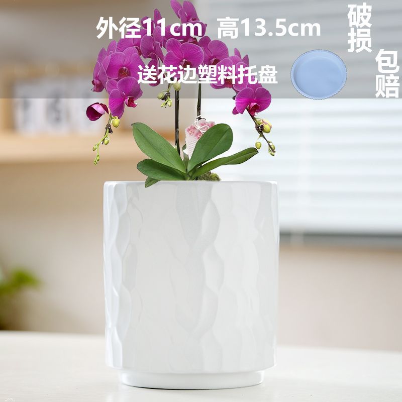 Pearlescent glaze white (comes with tray)