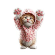 �羳���˽��ǿ������κ�ɫ����̩��������װ�ιҼ���������