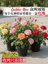 õ�廨������ش󻨎��������ܾGֲ���҃���ͥԺ�̨�����Nޱ�¼�