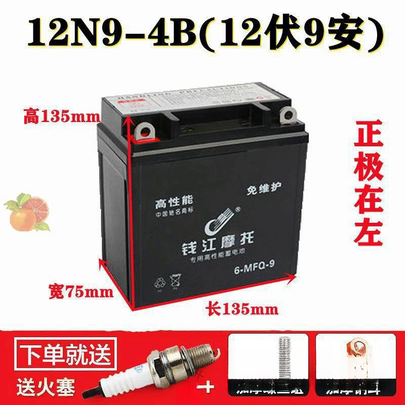 Трехколесный мотоцикл 110/150/175 Zong Shen Longxin без технического обслуживания аккумулятор 12 вольт 9 амб