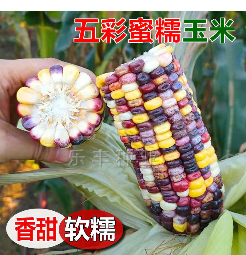 ebfe1453-aa8f-491a-8556-cf560f