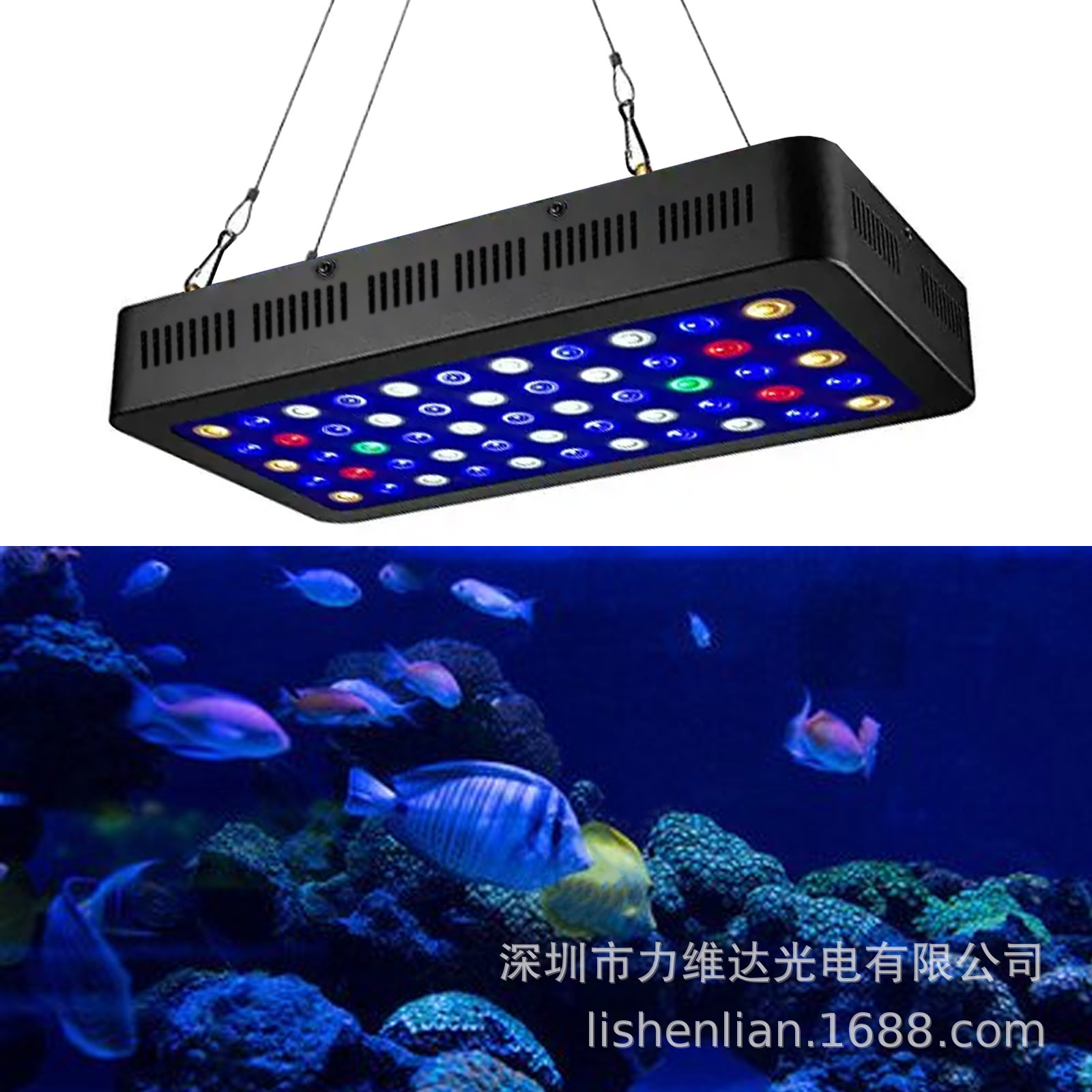 ά羳165Wȫ׵LEDˮݵɺˮ㺣ˮ׵