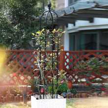 ?ټܑ¼Fɏ̶ֲ֧ټܻ軨ٱ