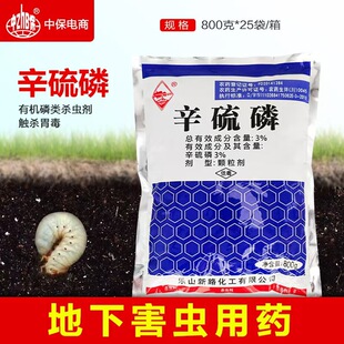 �����׵��º��x���x���rș����ϓ��w����800��