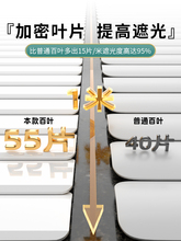 ?늄Ӱ~bԄlgԡ2025¿X~