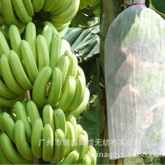 厂家批发透气保温防害虫农用育苗保湿盖土用白色弹性PP纺粘无纺布