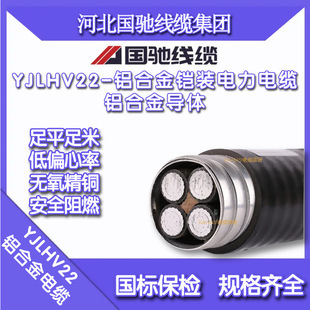 YJLHV���˽��B���� �L� ��� �����| �^����ȼ ��о�X�Ͻ���|