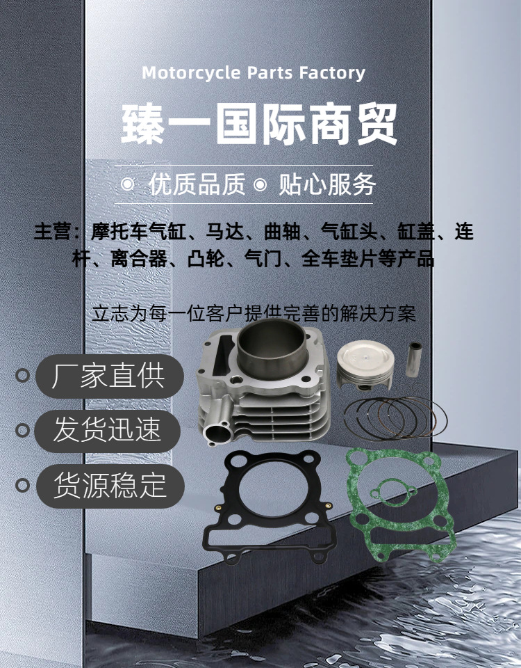 Motorcycle Cylinder Suitable for Yamaha Ybr250 Xtz250 Ys250 Fz250 Cylinder Assembly 74mm