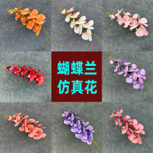 �羳9�^�����m���滨��Y�È������õ��·���b��߼��мٻ�