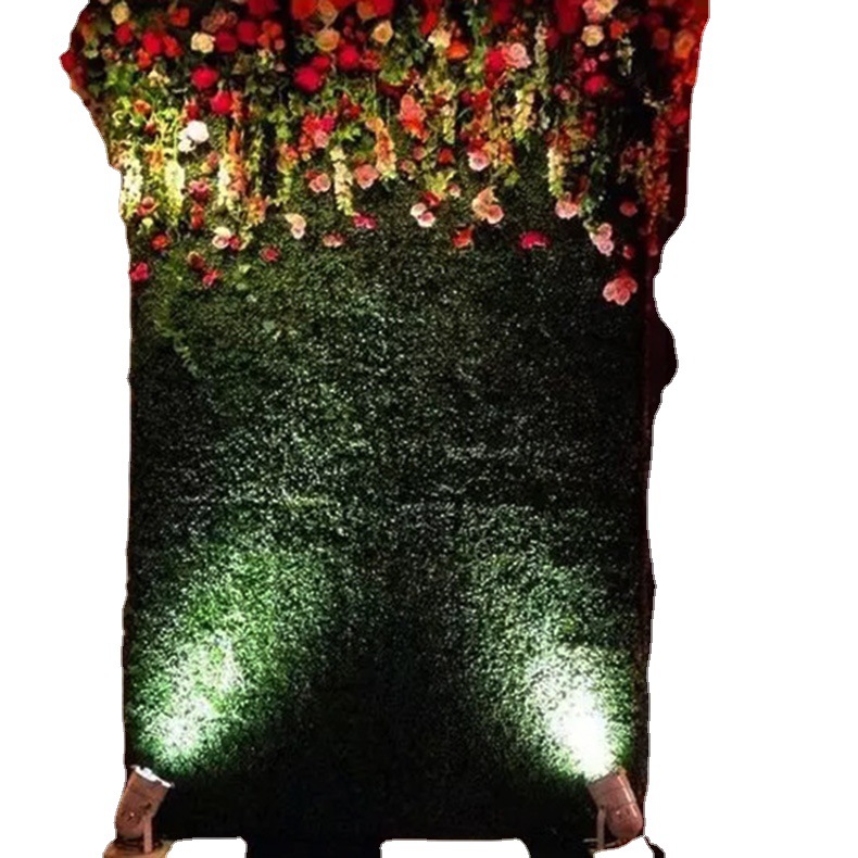 ֲ�ﻨǽ��ɫֲ��ǽ��ƺֲ�ﻨǽ����������ǽ��װ��