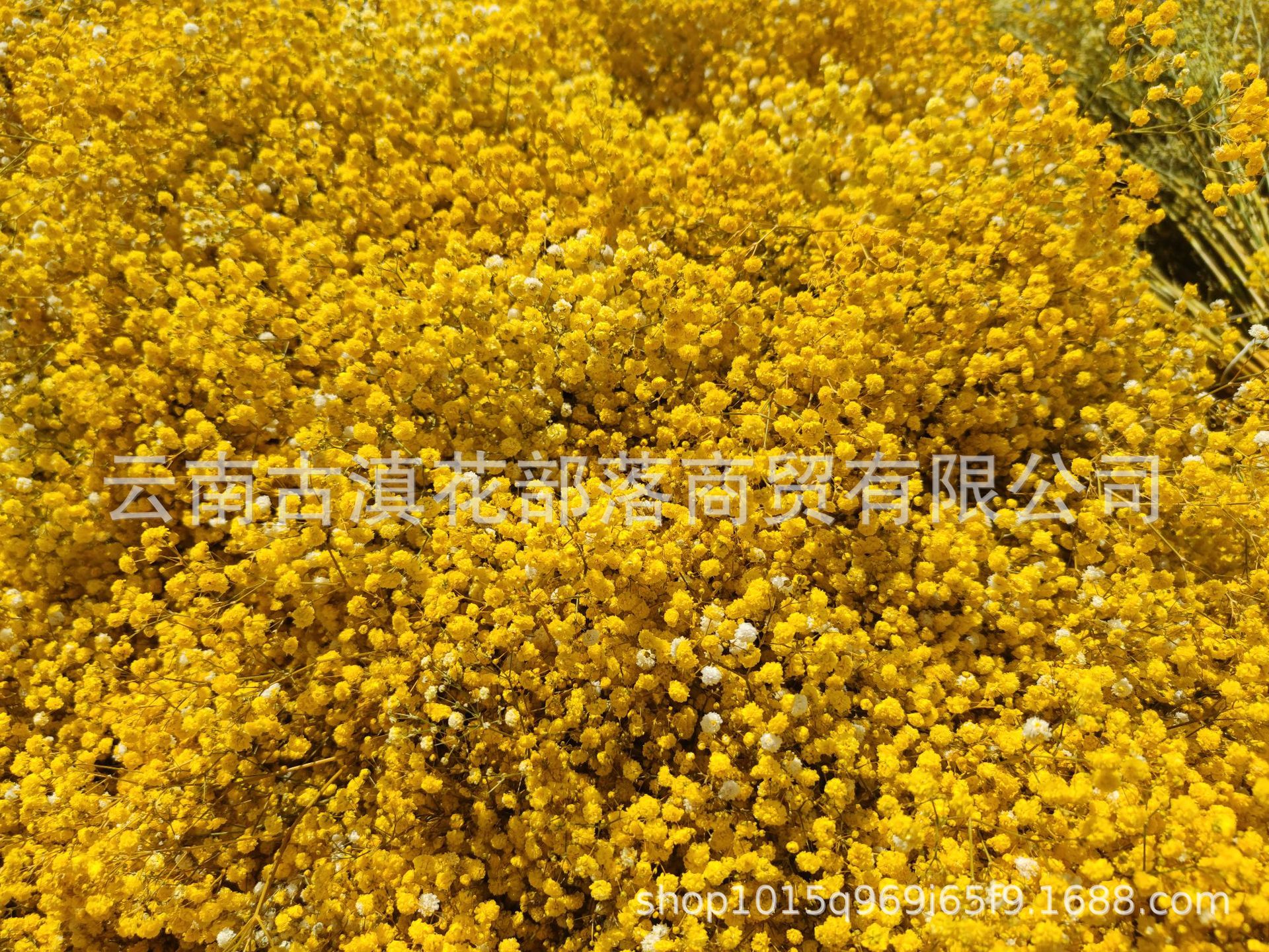 be38e2b5fb11d594b1b83aff5c078f