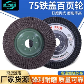 页轮、页片;磨片、切割片;砂轮