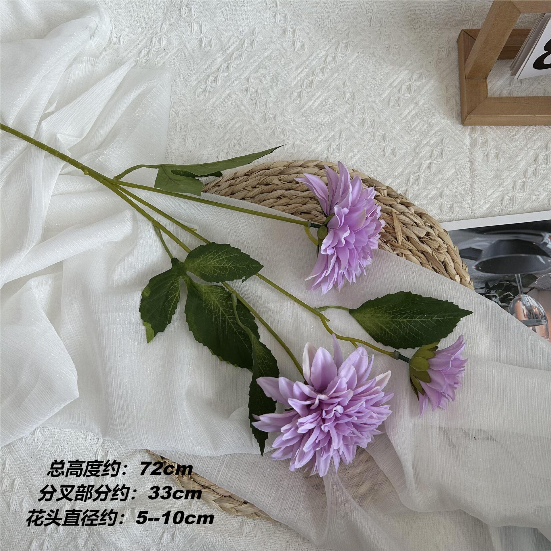 XWJ 화려한 꽃