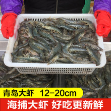 大虾鲜活超大特大冷冻对虾冻虾青岛海鲜水产基围虾海虾鲜虾虾青虾