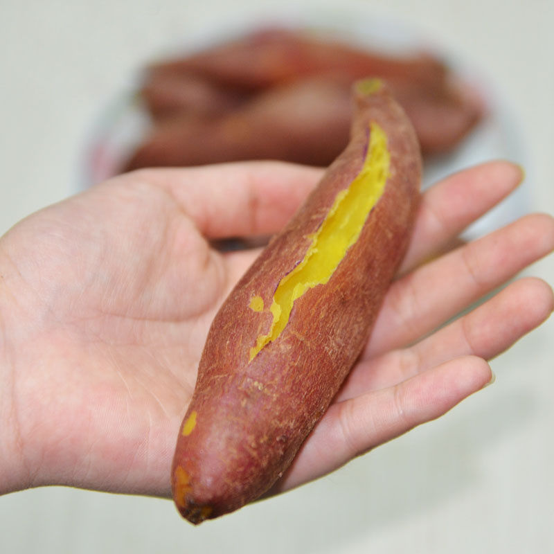 【红薯批发】板栗红薯新鲜地瓜蜜薯沙地黄心香小番薯蔬菜2/5/10斤|undefined