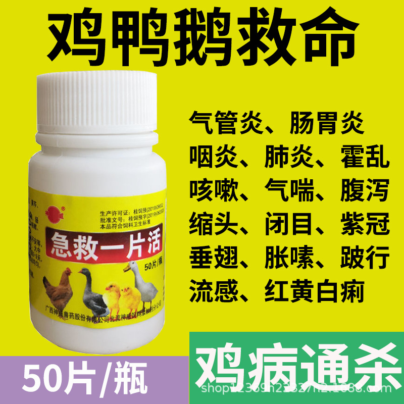 鸡病全治养鸡药鸡瘟感冒流感拉稀咳嗽鸡鸭鹅禽类鸡药大全禽药