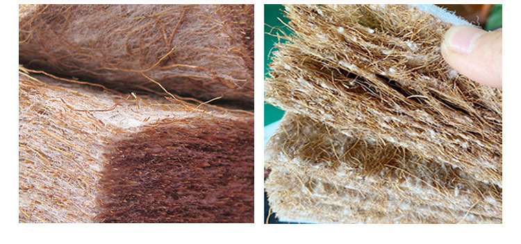 95d3eb67-05e3-4f82-9890-59e0c6fd0b62.jpe